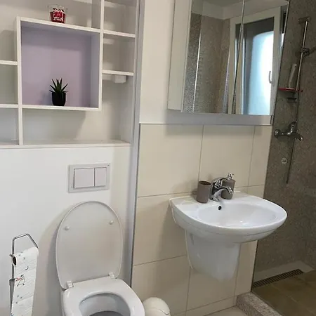 Apartment In Timisoara